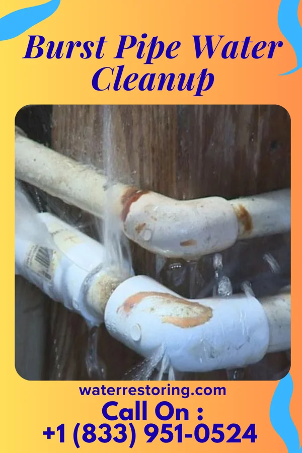 Burst Pipe Water Cleanup in Bear Creek, WI