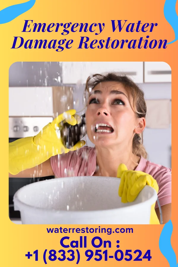 Emergency Water Damage Restoration in Bear Creek, WI