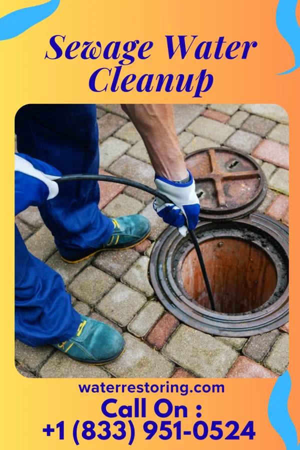 Sewage Water Cleanup in Bear Creek, WI